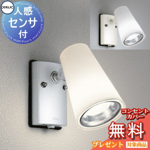 エクステリア 屋外 照明 ライト オーデリックODELIC スポットライト