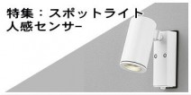 ☆大光電機 DAIKO DOL-4825YS LEDスポットライト アウトドアスパイクライト◆屋外灯・ガーデンライトとしても 製品詳細 | 大光電機株式会社