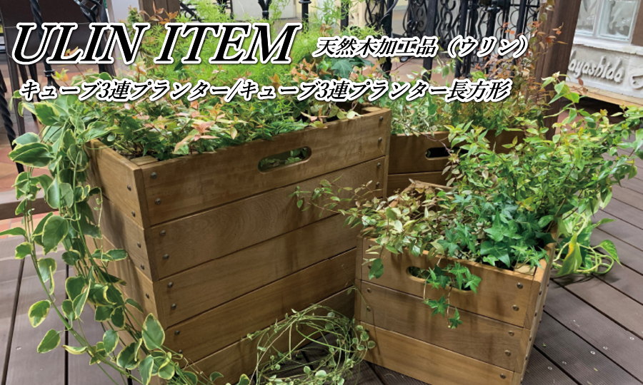 無料☆特典対象】 オンリーワンクラブ キューブ3連プランター長方形