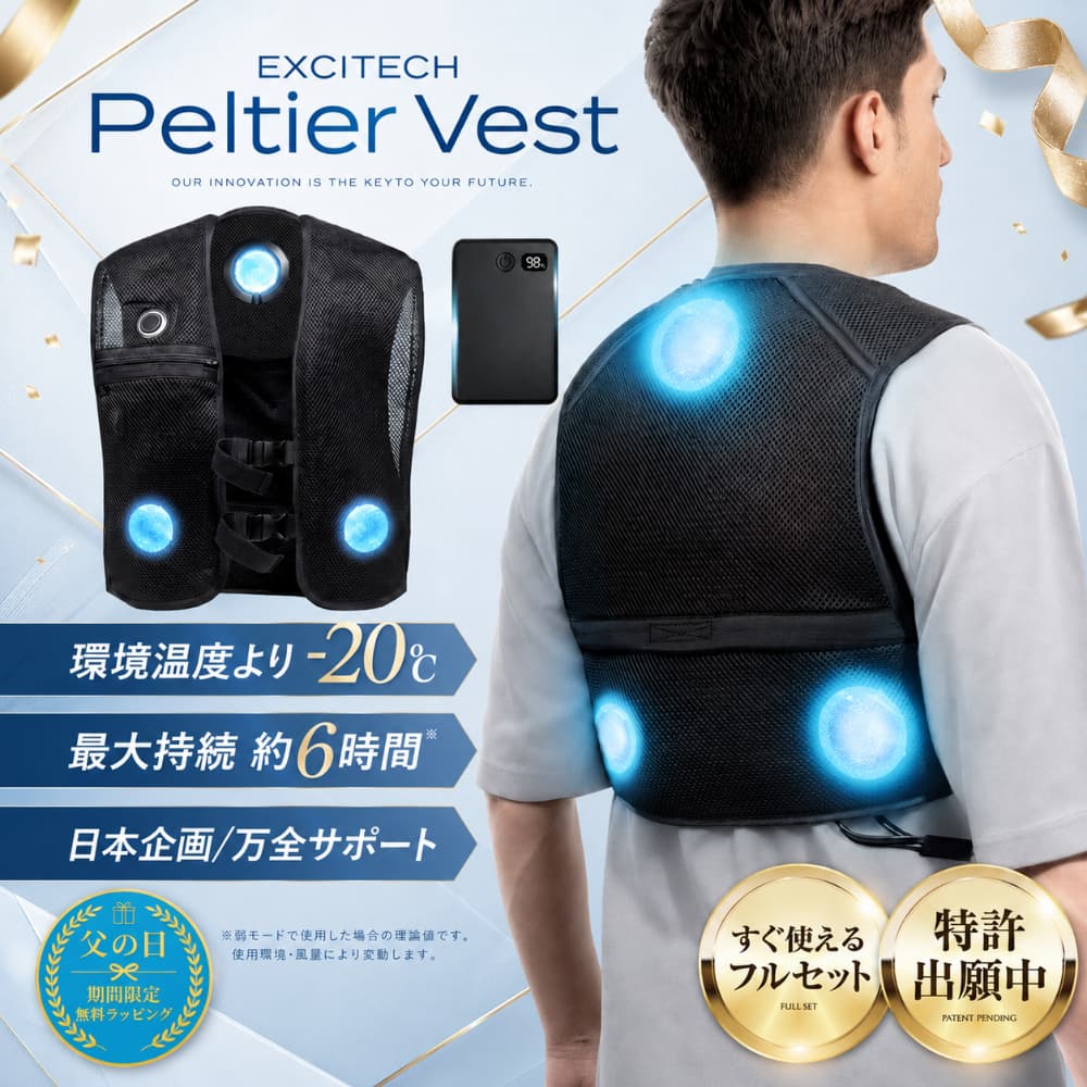 EXCITECH (父の日クーポン配布中) ペルチェ ベスト (日本企業企画