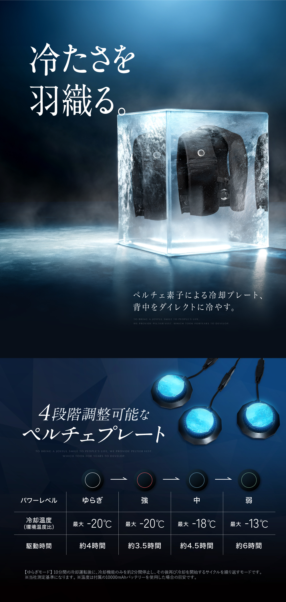 EXCITECH (クーポン配布中) ペルチェ ベスト (日本企業企画) 10000mAh