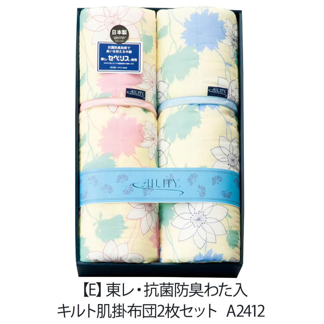 アイリティ 東レ・抗菌防臭わた入キルト肌掛布団2枚セット A2412