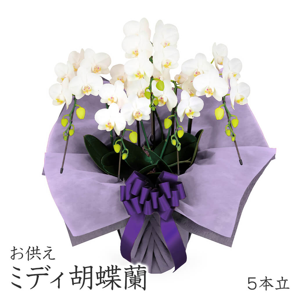 仏花　お供え花　初盆　造花　カトレア　胡蝶蘭 仏花 お供え花 初盆 造花 カトレア 胡蝶蘭 仏花 お供え花 初盆 造花