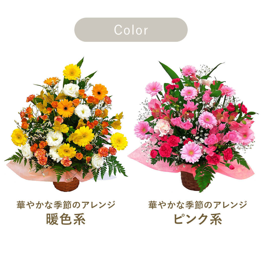 フラワー 華やかな季節のアレンジ お祝い 花 ギフト プレゼント 開業