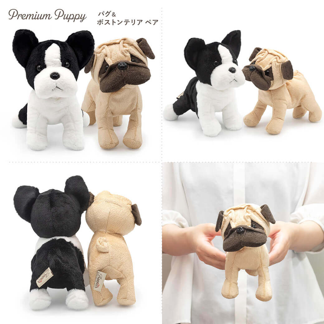 ぬいぐるみ プレミアムパピー ペアセット 犬 かわいい バルーン お祝い