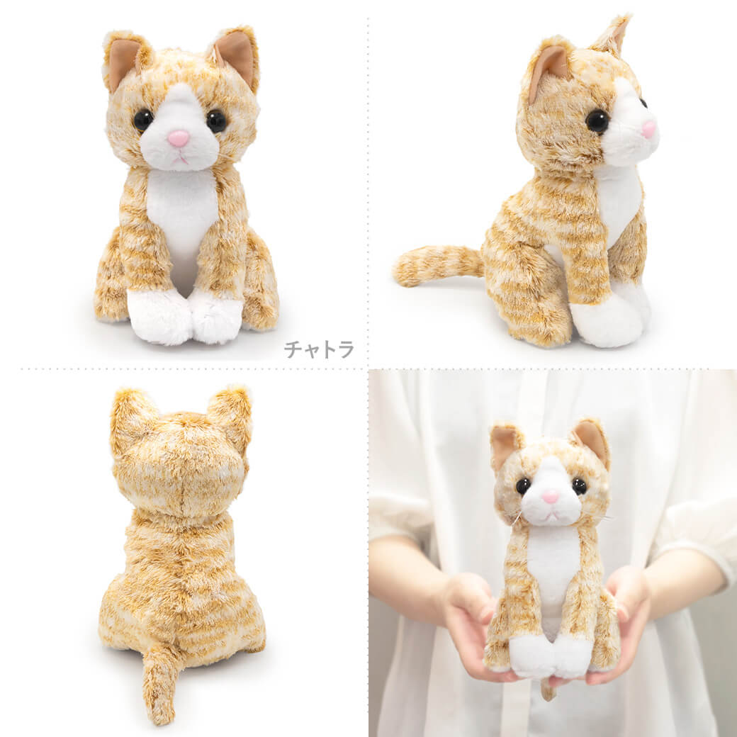 ぬいぐるみ プレミアムキティ 猫 ネコ かわいい バルーン お祝い