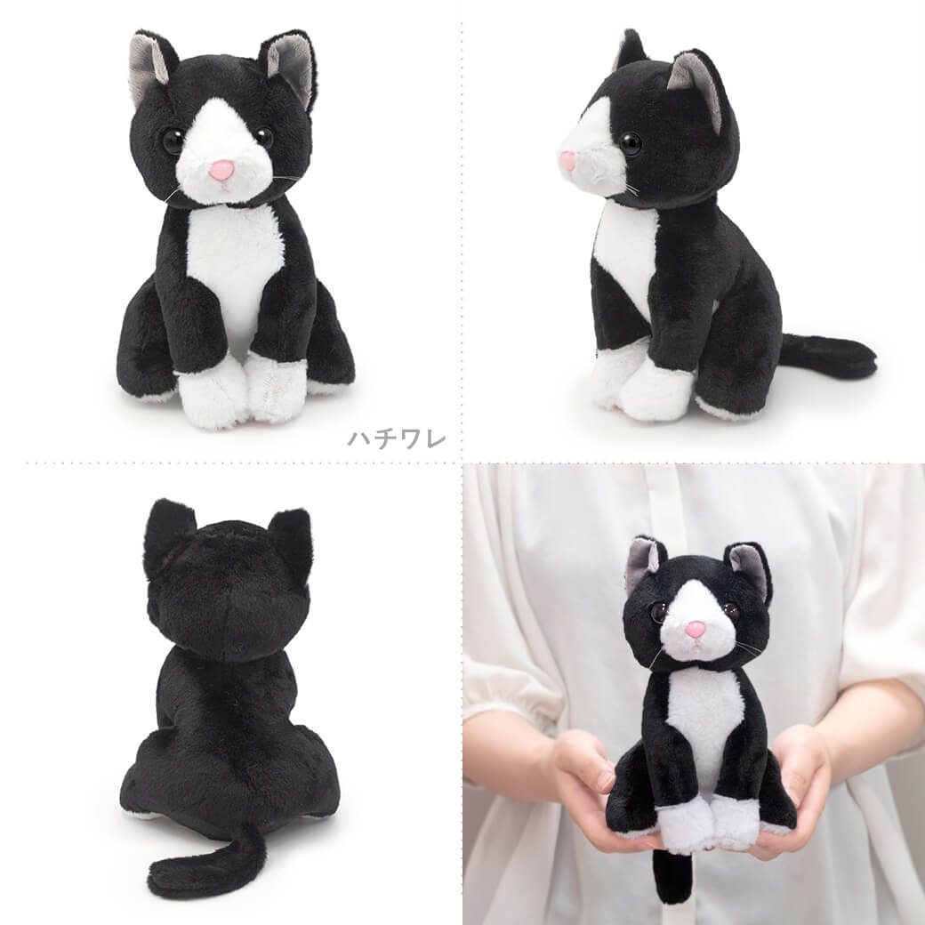 ぬいぐるみ プレミアムキティ 猫 ネコ かわいい バルーン お祝い