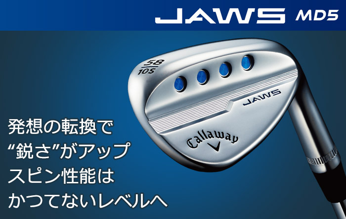 Callaway(キャロウェイ) JAWS MD5 ウェッジ N.S.PRO MODUS3 TOUR 105