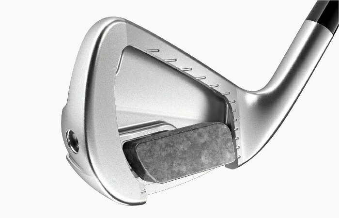 TaylorMade テーラーメイド P790 アイアン 6本セット(#5-PW