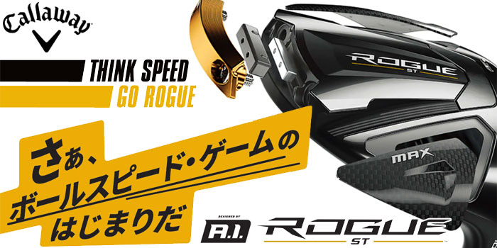Callaway Golf - ローグ ST MAX OS アイアンセット 5本 ダイナミックゴールド 95 0000658576_01.jpg?h=600&w=600