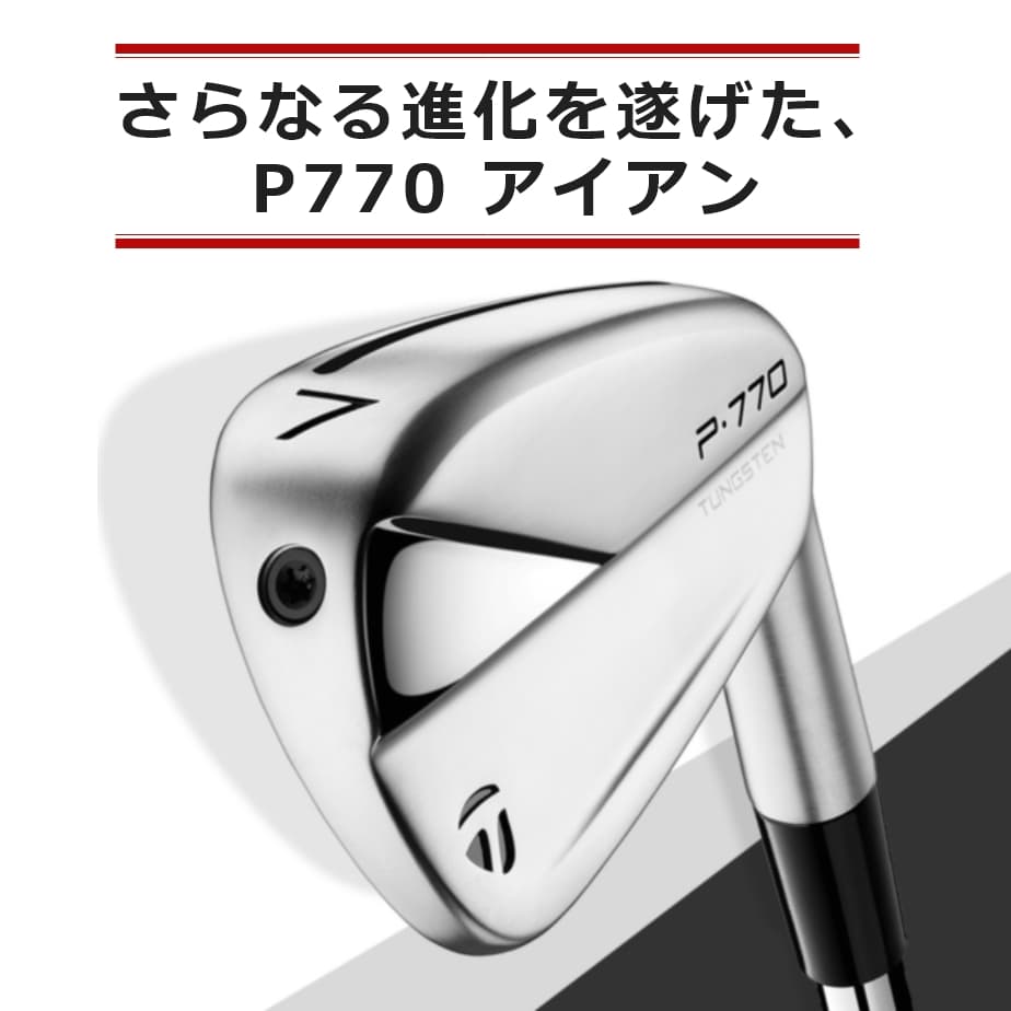 アイアン テーラーメイド TaylorMade P770 6本セット(#5-PW) Dynamic