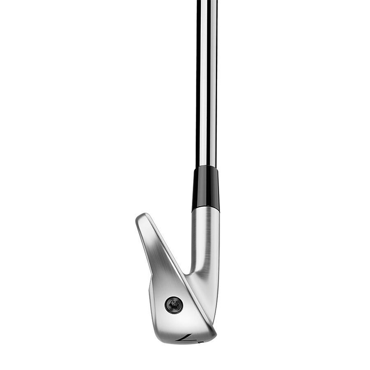 TaylorMade テーラーメイド P790 アイアン 5本セット(#6-PW