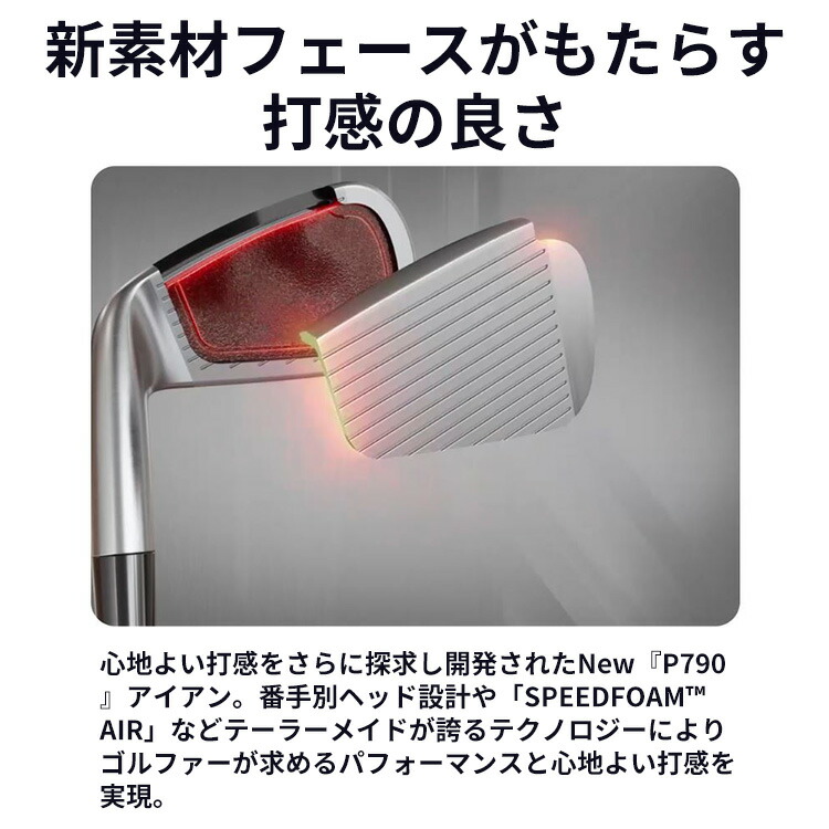 TaylorMade P790 アイアン 5本セット(#6-PW) メンズ 右用 N.S.