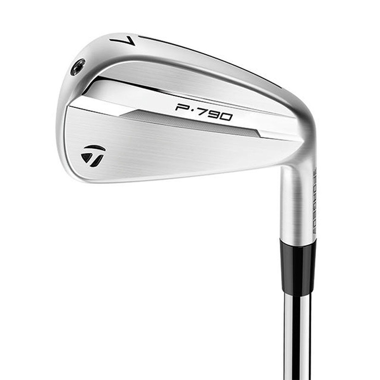 TaylorMade テーラーメイド P790 DG105 #P〜#5 6本 TaylorMade（テーラーメイド） P790 アイアン 5本セット(#6-PW) メンズ