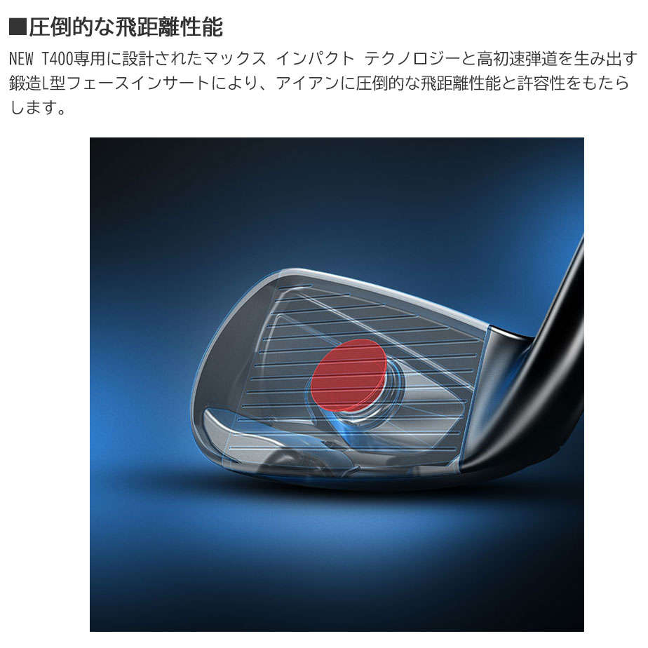Titleist（タイトリスト） Titleist T400 アイアン 5本セット(#7-P、W