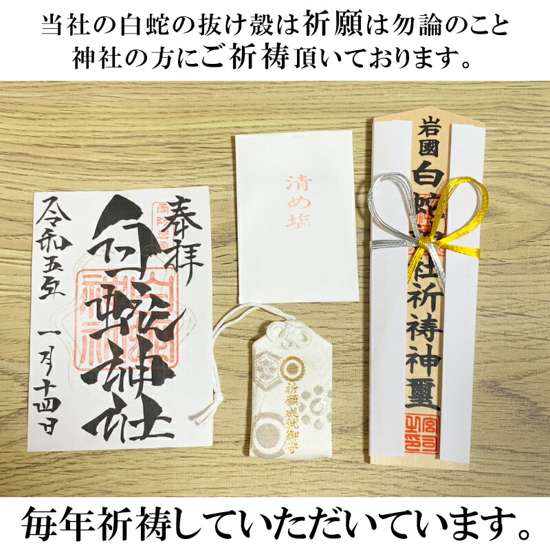 白蛇 頭 抜け殻 1000万円帯封 純金箔 白ヘビ 開運 御守り アルビノ 金運アップ 白へび 蛇 抜殻 縁起物 本物 金運 開運 お金 祈願済み 金  脱け殻 祈願 神社 財布