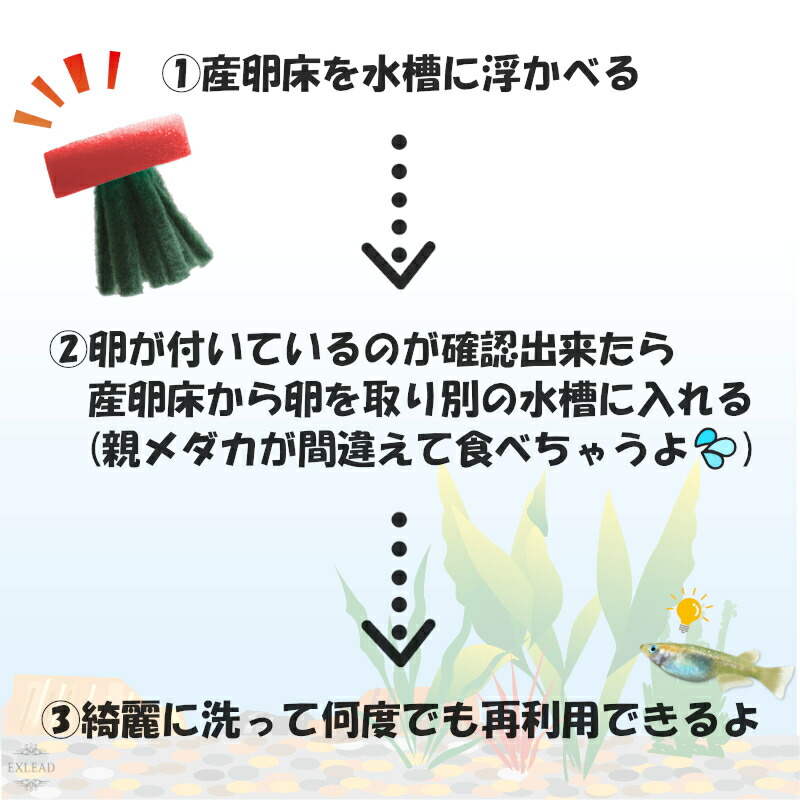 豆カフェめだか 激採れ めだかの産卵床 完成品 100個セット カラーはランダム 人工水草 特殊繊維 卵 採取 保護 めだか メダカ 産卵 淡水魚 水槽  ビオトープ :skb220624-001-5:EXLEAD JAPAN - 通販 - Yahoo!ショッピング