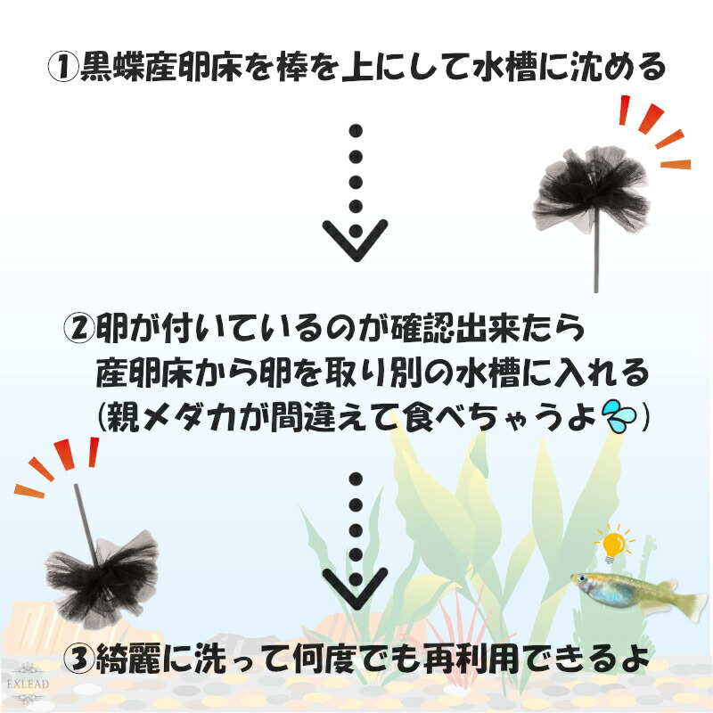 豆カフェめだか 黒蝶産卵床 激採れ めだかの産卵床 完成品 6個セット 人工水草 特殊繊維 卵 採取 めだか メダカ 産卵 淡水魚 水槽 ビオトープ  メダカ産卵床 : skb220721-002-2 : EXLEAD JAPAN - 通販 - Yahoo!ショッピング