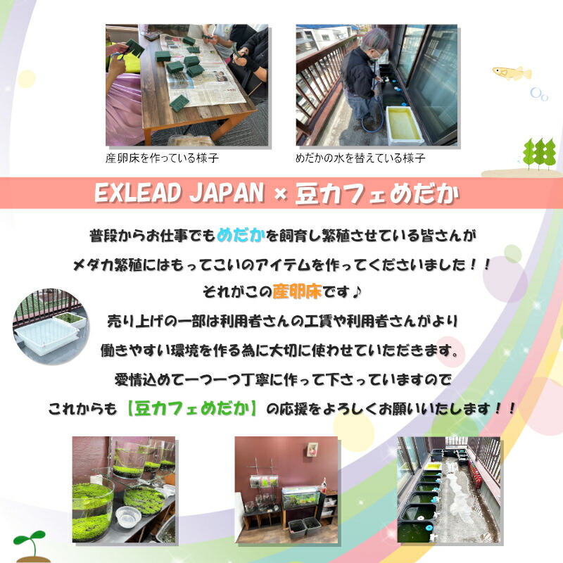 豆カフェめだか 激採れ めだかの産卵床 完成品 6個セット カラーはランダム 人工水草 特殊繊維 卵 採取 保護 めだか メダカ 産卵 淡水魚 水槽  ビオトープ :skb220624-001-2:Twintail - 通販 - Yahoo!ショッピング