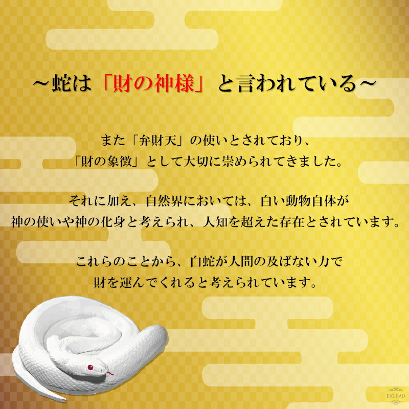 白蛇 二つ1セット 抜け殻 白ヘビ 開運 金運アップ 祈願済み 白