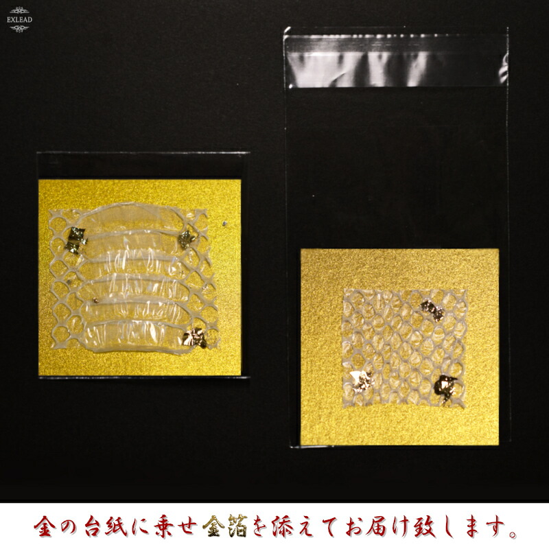 金運UP　九州白蛇さま　蛇の抜け殻　希少な鱗無　スケールレス　白ヘビ　9点セット 金運UP 九州白蛇さま 蛇の抜け殻 希少な鱗無 スケールレス 白