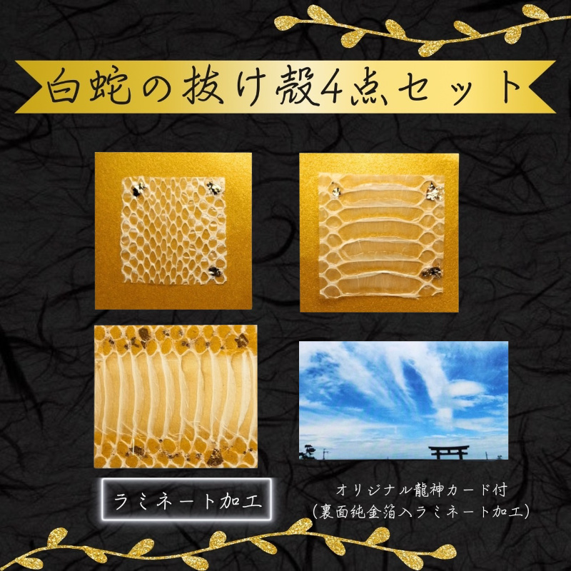 白蛇の抜け殻 お得 4点セット 白ヘビ 開運 金運アップ お守り