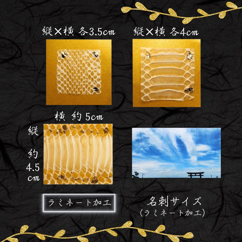 白蛇の抜け殻 お得 4点セット 白ヘビ 開運 金運アップ お守り