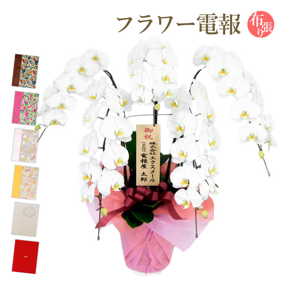大輪胡蝶蘭 ５本立 ハイグレード 白 布張りカード電報セット お祝い ギフト リバティ 電報 結婚式 祝電 誕生日 父の日 2026 受章祝い 開業 開店祝い 当選