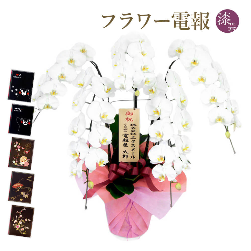 大輪胡蝶蘭 ５本立 ハイグレード 白 漆芸電報セット お祝い ギフト 電報 結婚式 祝電 誕生日 父の日 2026 叙勲 受章祝い 開業 開店祝い 当選