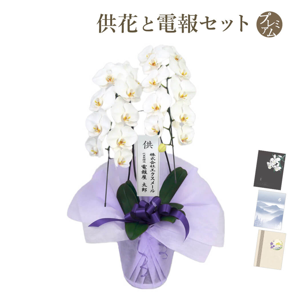 お供え 大輪胡蝶蘭 2本立 ハイグレード 白 プレミアムカード電報
