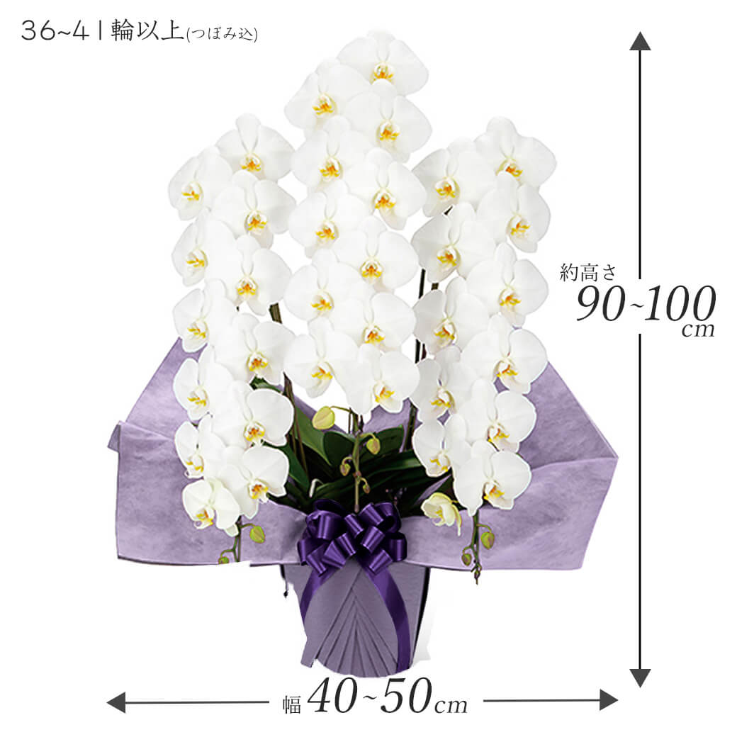 お供え花　仏花　ブルーダリア　白赤胡蝶蘭　百合　造花アレンジ お供え 大輪胡蝶蘭 3本立 ハイグレード 白 36輪以上 お供え花