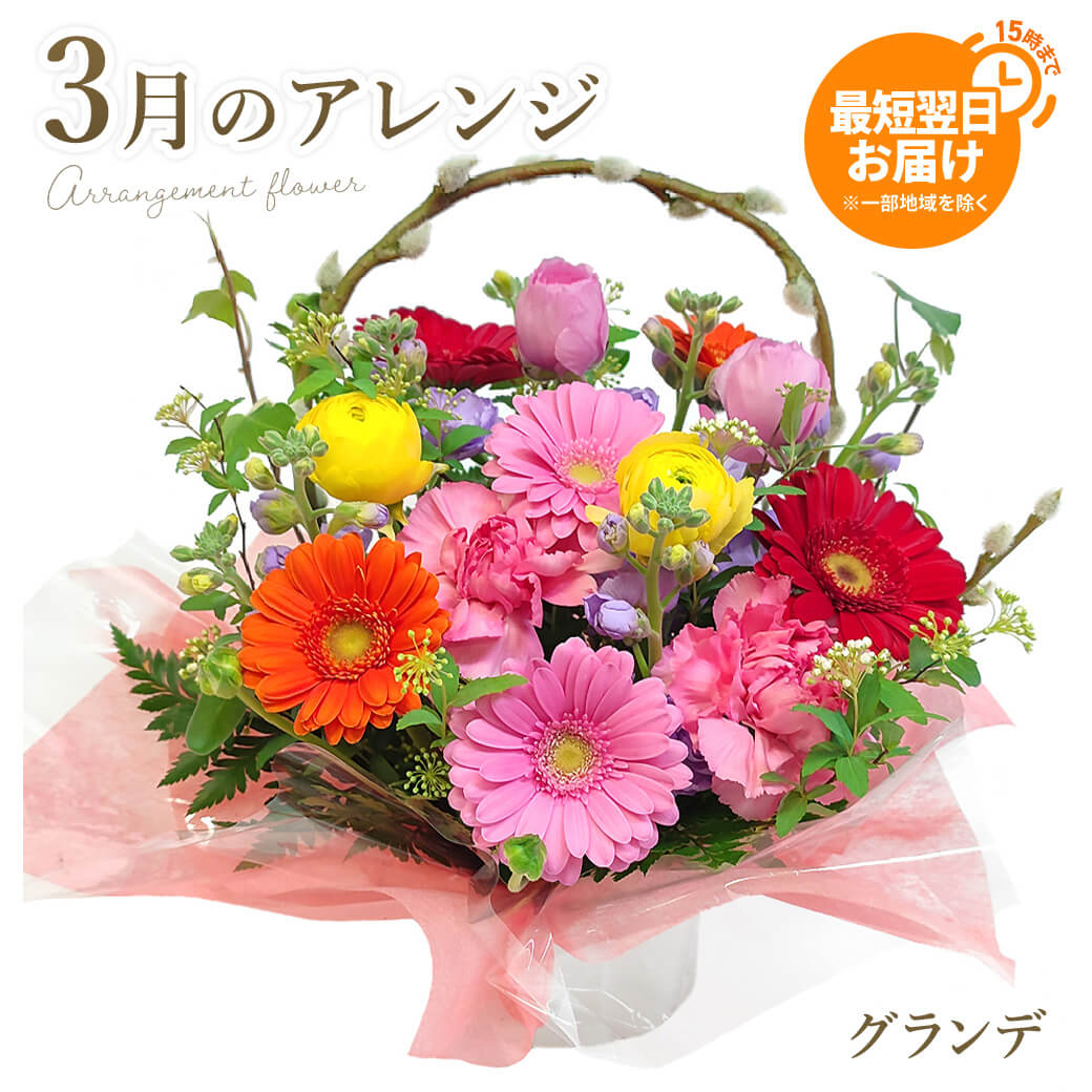 フラワーギフト 「今月のアレンジ・グランデ」 (電報なし) お祝い 花 ギフト プレゼント 女性 結婚式 誕生日 母の日 2026 叙勲 受章祝い 開業 開店 | 