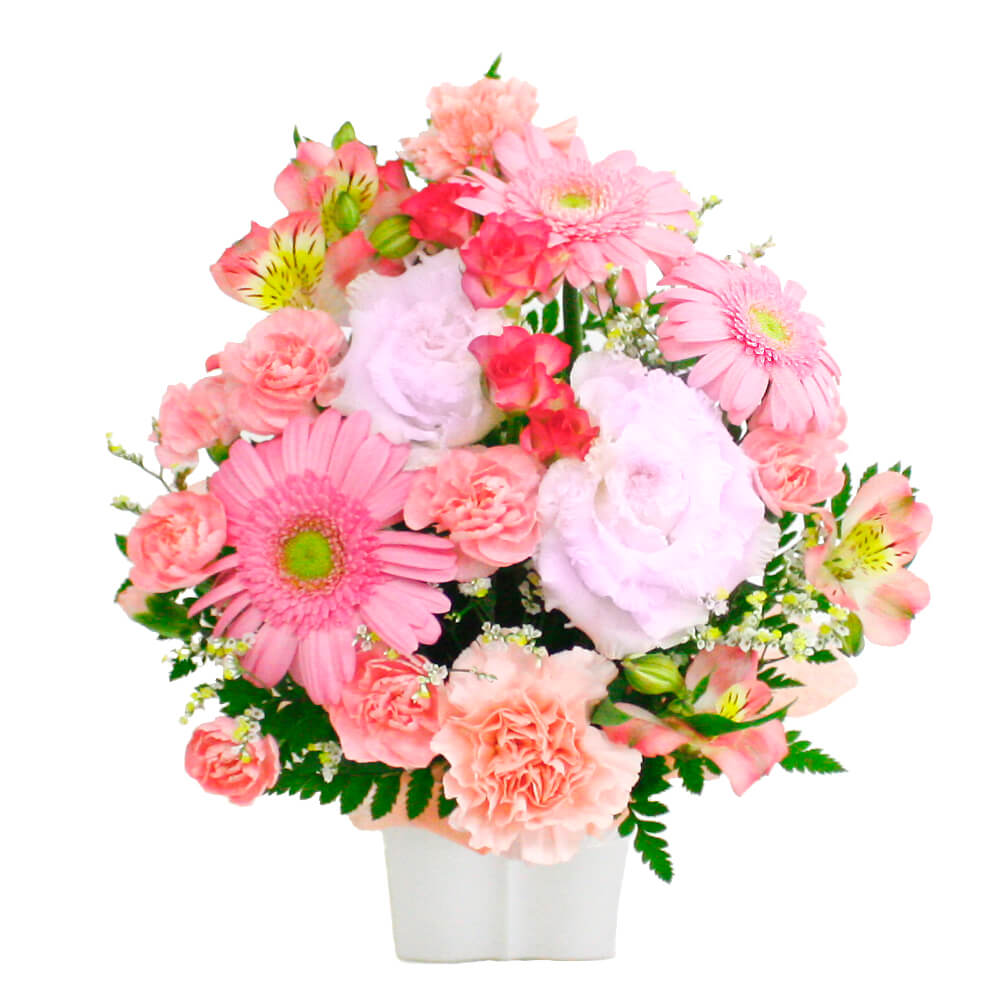 フラワーギフト 「お任せアレンジメント・Cutieピンク」 (電報なし) お祝い 花 ギフト プレゼント 女性 結婚式 誕生日 母の日 2026 叙勲 受章祝い 開業 開店 | 