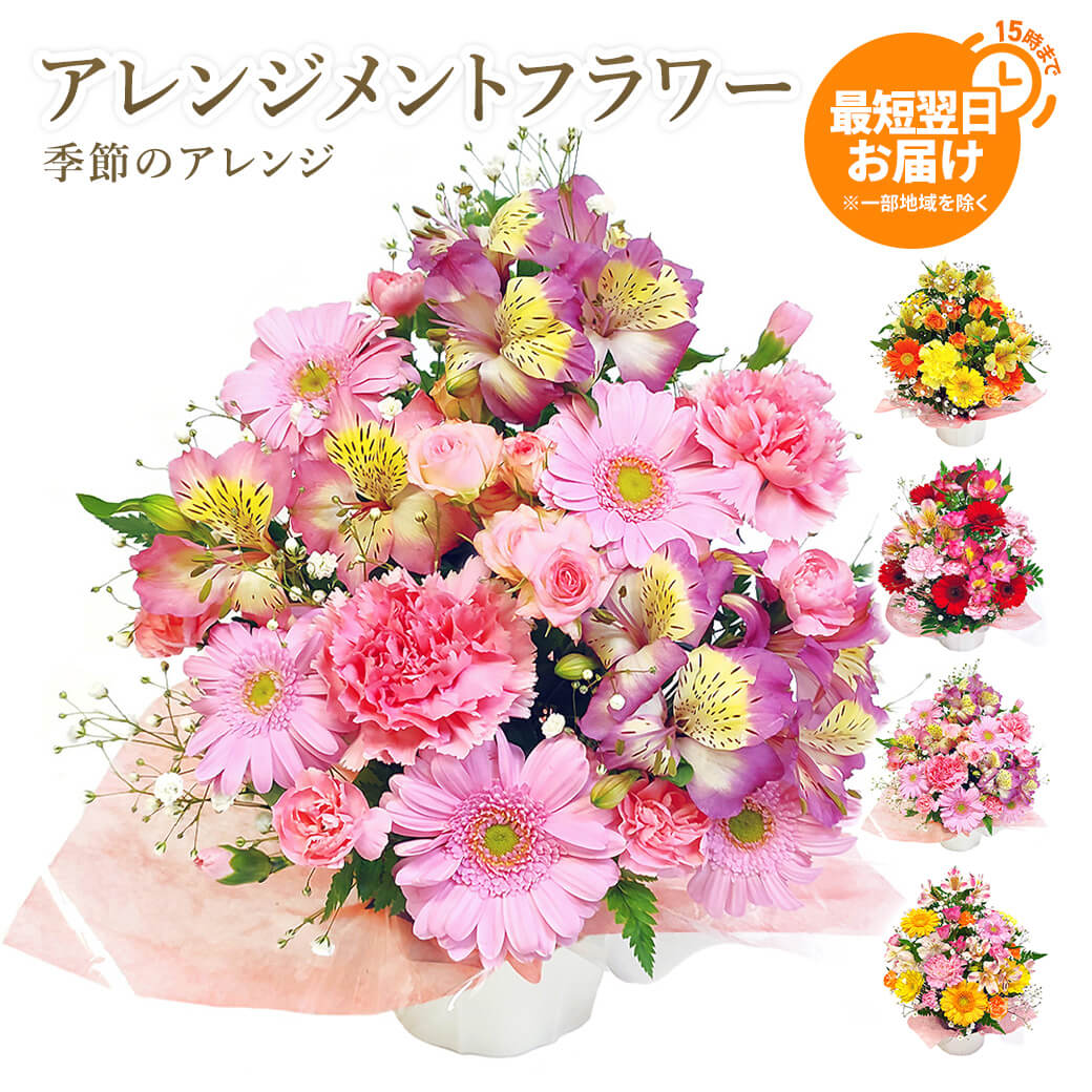 フラワーギフト 「季節のアレンジ」 (電報なし) お祝い 花 ギフト