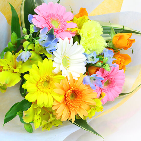 シーズナルアソート・花束 (電報なし) お祝い 花 フラワー ギフト プレゼント 結婚式 誕生日 記念日 敬老の日 2026 暑中見舞い 退職祝い 送別会 |  | 09