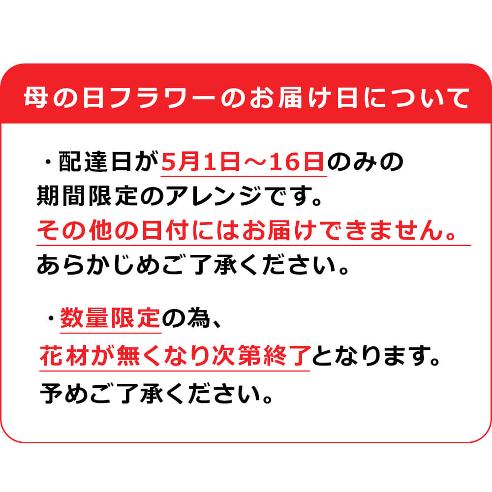 母の日ギフト2024 「アレンジメント・サンクス」 (電報なし) 花 フラワーギフト お祝い プレゼント サプライズ カーネーション 人気 定番 おすすめ｜exmail｜04