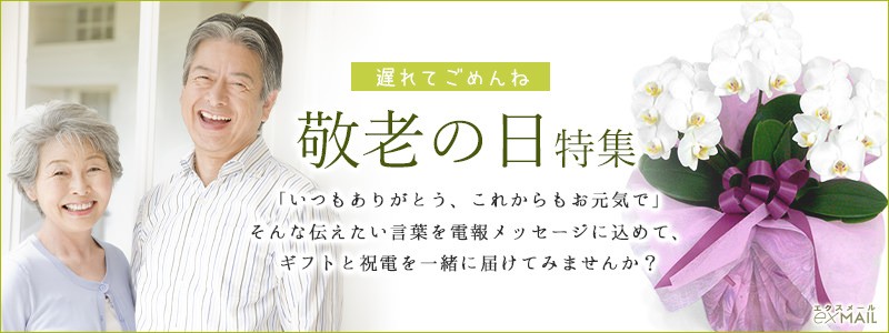 敬老の日特集 電報屋のエクスメール Yahoo 店 祝電 プレゼント お祝い