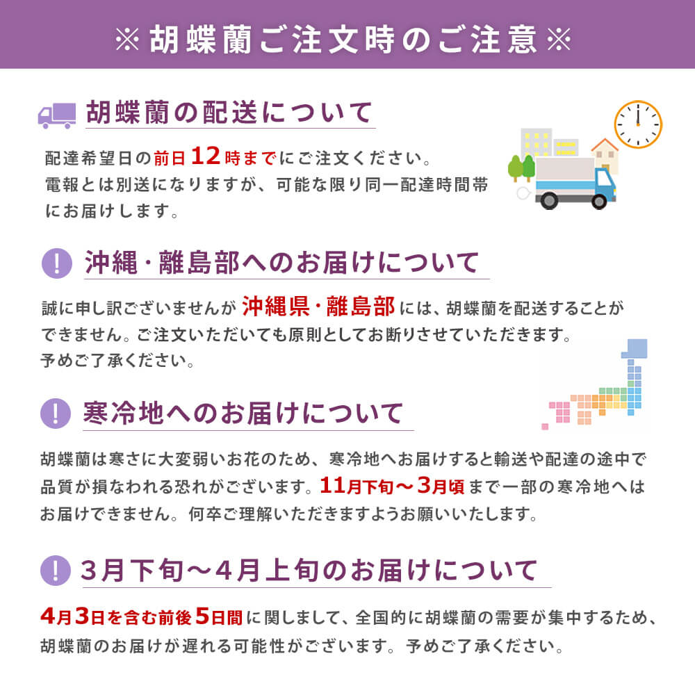 特選胡蝶蘭 3本立 ピンク (電報なし) 36輪以上 お祝い 花 フラワー ギフト プレゼント 結婚祝い 誕生日 叙勲 褒章 受章祝い 開業 開店祝い 当選 特選胡蝶蘭 3本立 ピンク (電報なし) 36輪以上 お祝い 花 フラワー ギフト プレゼント 結婚祝い 誕生日 叙勲 褒章 受章祝い 開業 開店祝い 当選