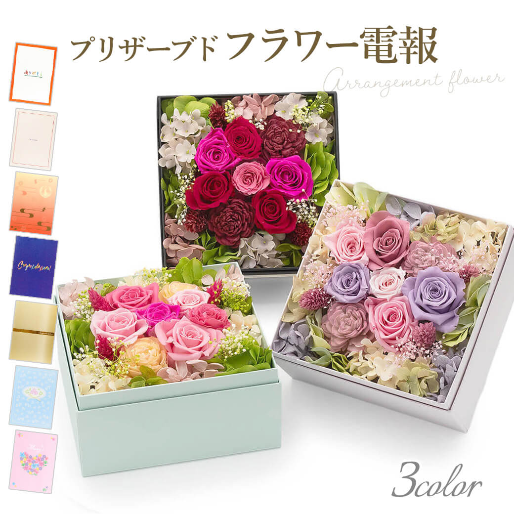 ウマ娘 公式パブミラーセット News｜ウマ娘 プリティーダービー 公式