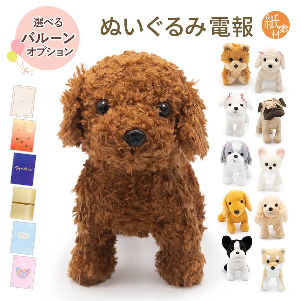 祝電 誕生日 ぬいぐるみ電報「プレミアムパピー」紙素材カード電報 バルーン お祝い ギフト 電報 メッセージ 結婚式 結婚祝い 母の日 2026 受章祝い