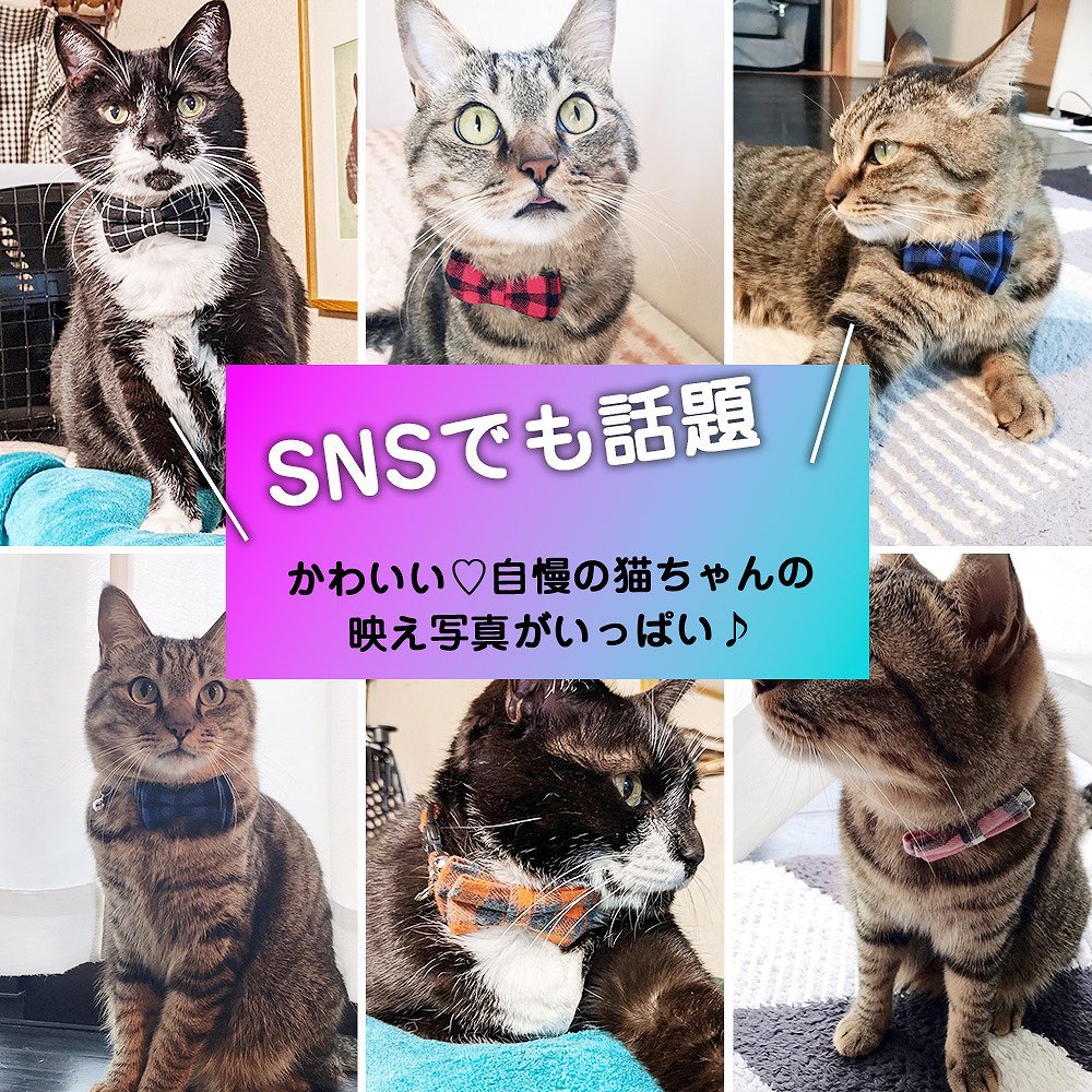 首輪 猫グッズ リボン セーフティバックル 安全 安心 鈴付き カラー チェック かわいい 2way 取り外し 蝶ネクタイ おしゃれ ペット リード  ハーネス 散歩 人気 :cim-petcollar-001-:イージャパン - 通販 - Yahoo!ショッピング