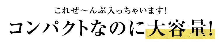 シフォン フリル　ポーチ