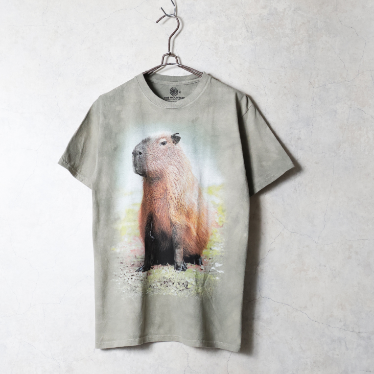 THE MOUNTAIN / ザマウンテン TM2621 THE MOUNTAIN T-SHIRT / ザマウンテンTシャツ -全6色- | LOS ANGELES APPAREL | 01