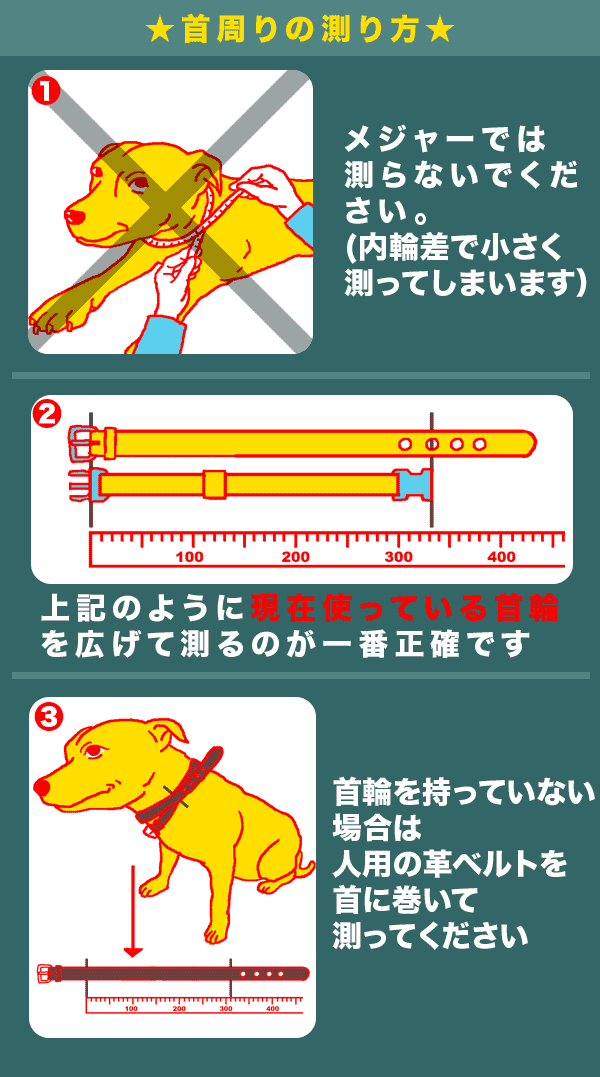 首輪 中型犬用 スタッズ 革 3cm幅：3cm Type 006(14mm+8mm鋲）【色は10色以上から、サイズは1cm単位でオーダー】｜extraheavyy｜03
