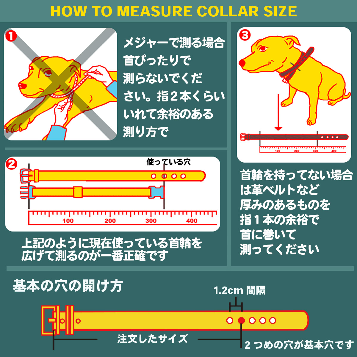 首輪 ブルドッグ 大型犬用 スタッズ 革 4cm幅：4cm Type Z-008 (14mm鋲