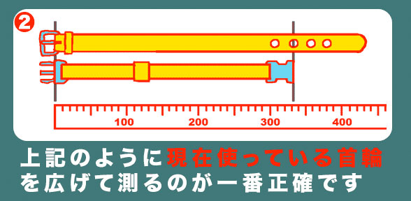 首輪 猫 スタッズ 革 :Cats 001(角鋲）【色は10色以上から、サイズは