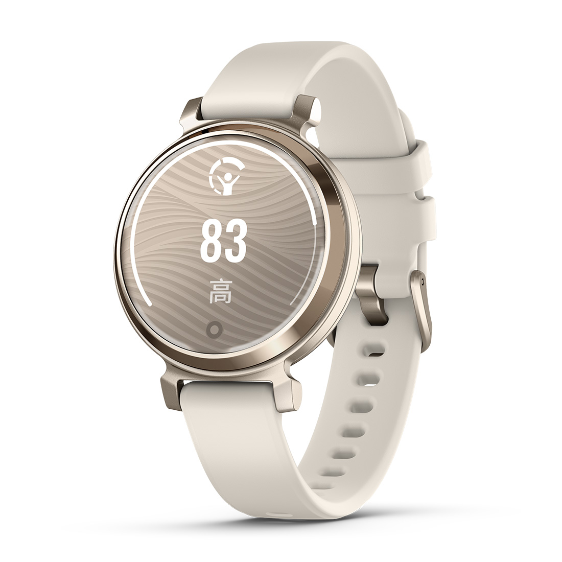 アケミン GARMIN ガーミン ForeAthlete 55 フォアアスリート 010-02562-41