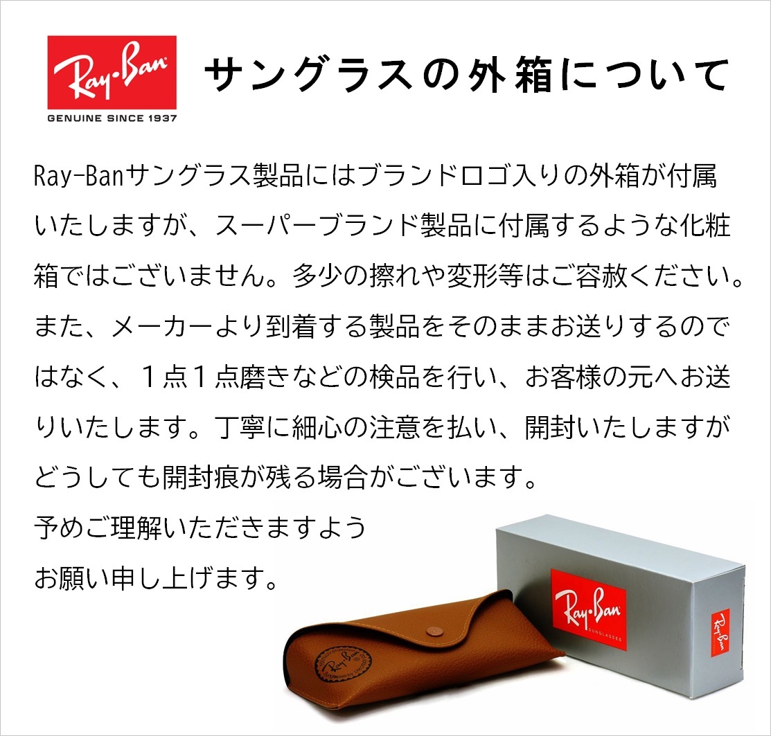 Ray-Ban レイバン サングラス ボストン 4258F 601/87 アジアン