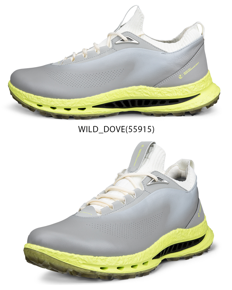 ecco（エコー） 日本正規品 BIOM C5 レース バイオム メンズモデル