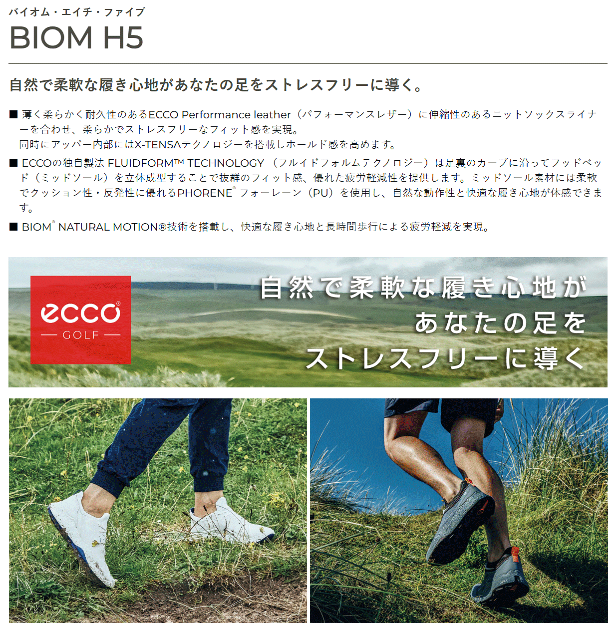 ecco（エコー） 日本正規品 BIOM H5 レース バイオム エイチ ファイブ